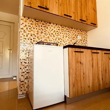 Vila Elena Apartman